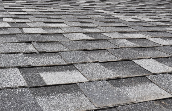 Roof shingles